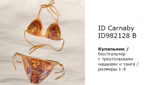 Купальник INCANTO CARNABY ID982128B