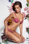 AMORE A PRIMA VISTA SANGRIA Push-up gel 66151 A