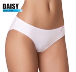 MALEMI Daisy  BW33176