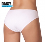 MALEMI Daisy  BW33176