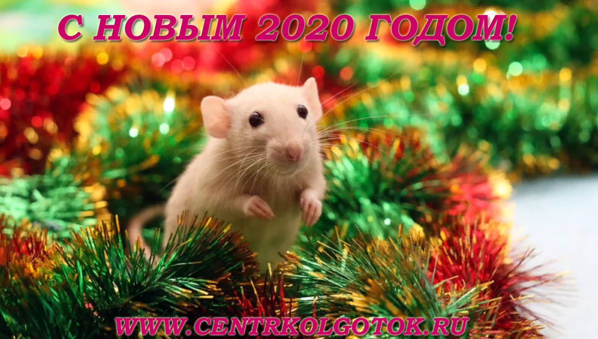 С НОВЫМ 2020 ГОДОМ!