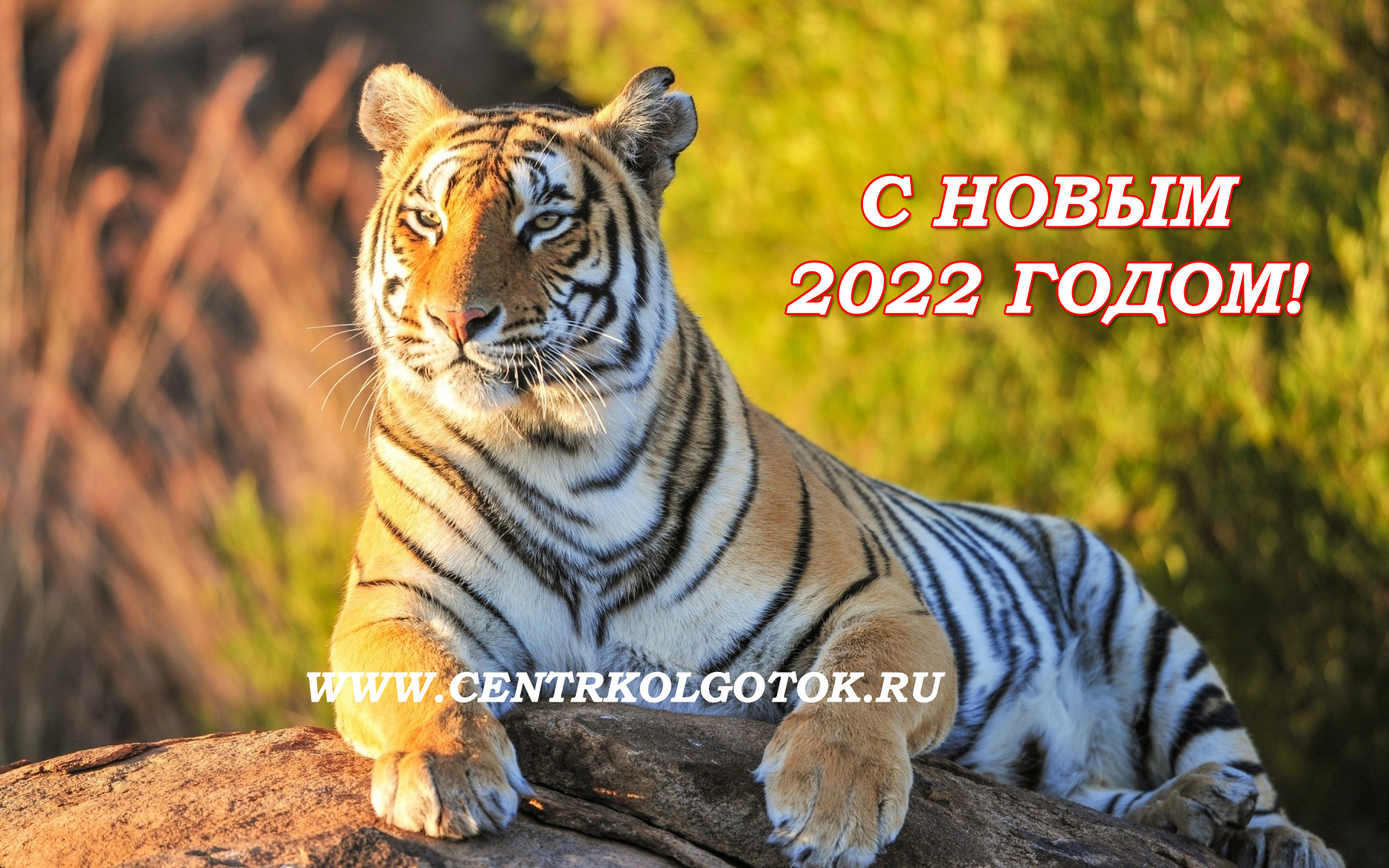 С НОВЫМ 2022 ГОДОМ!!!